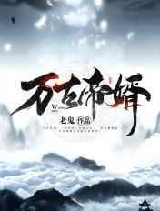 万古帝婿TXT完整版