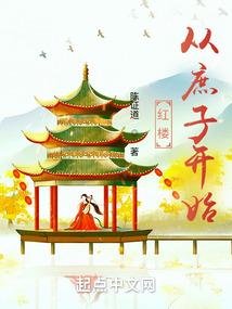 红楼之庶子崛起