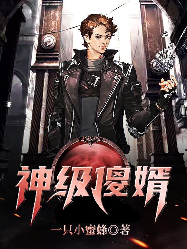 我想看傻婿