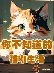 开一家猫咖至少要多少