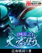 网游之大盗贼怎么样