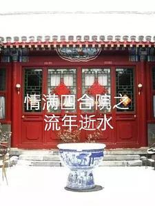 情满四合院从小玩槐花小当
