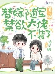 替嫁将军晋江