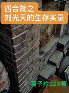 四合院我是刘光天全文阅读