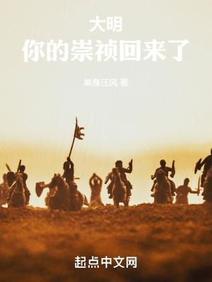 大明崇祯传