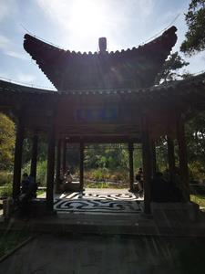 黄山风景区的仙人指路