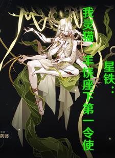 星猫百科
