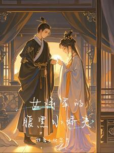 女将军的小相公