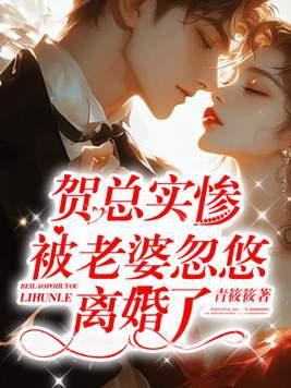 贺老总的夫人