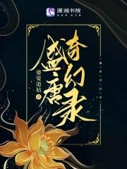 盛唐奇案第二关