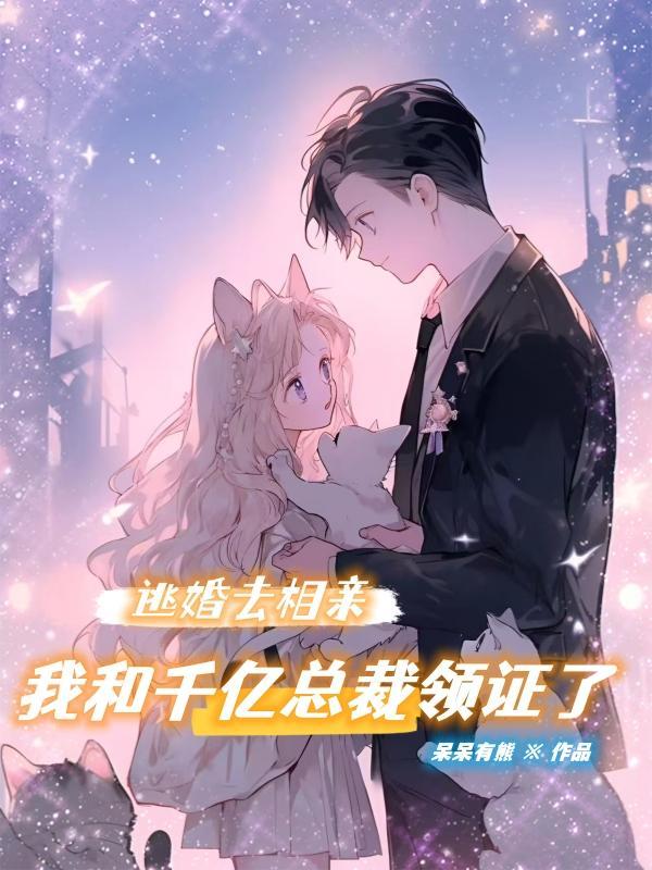闪婚新妻娇又甜