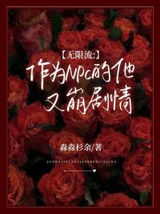 当无限流npc