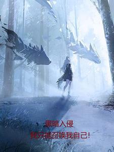 黑暗入侵txt