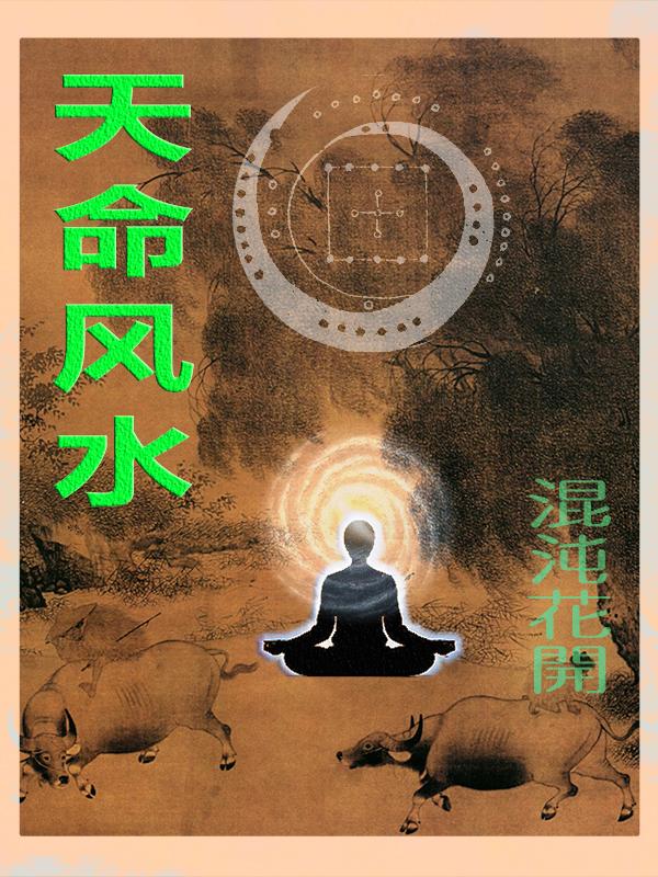 天命风水师听书免费听