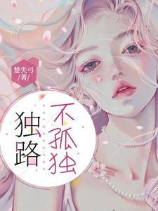 孤独不苦歌词是什么意思