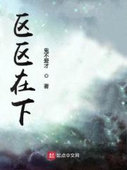 区区之见什么意思