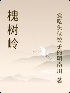 槐树岭一号院