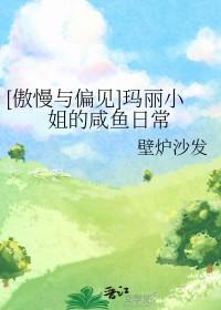 傲慢与偏见之玛丽空间