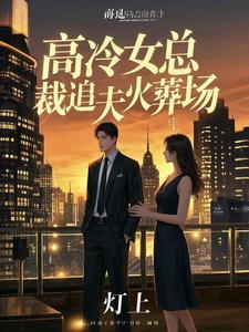 高冷总裁追妻之路