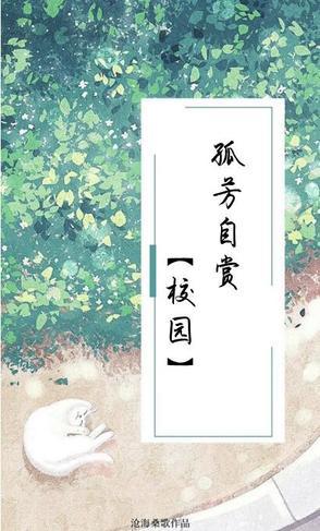 孤芳自赏下句是什么