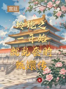 甄嬛传玲珑解说