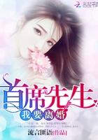 首席老公我要离婚免费阅读