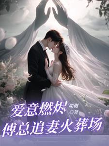 前夫回家全集三十三集
