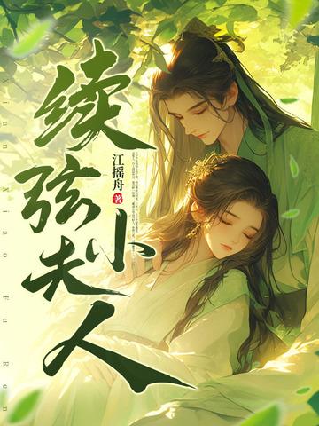 续弦小夫人全文