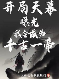 开局获取天帝模板破解
