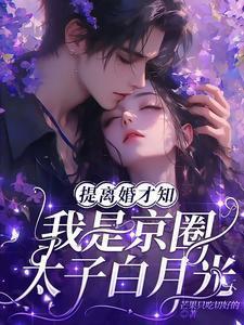 提离婚才知我是京圈太子白月光