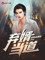 弃婿当道叶辰免费版