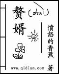 赘婿电视剧在线观看免费完整版高清