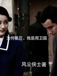我是周卫国风尘侠士