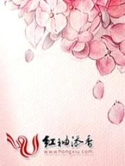 绯闻总裁老婆复婚吧