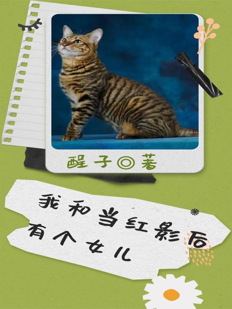 我和当红影后有个女儿免费阅读