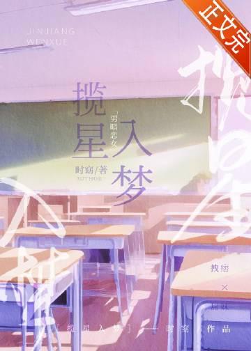揽星入怀txt资源