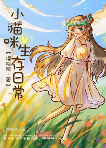 小猫咪的日常生活视频