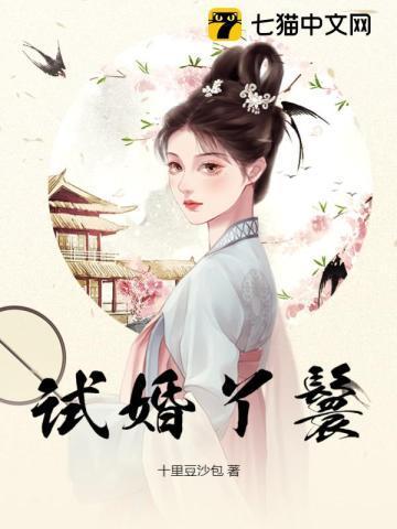 试婚丫鬟的背景设定是哪个朝代