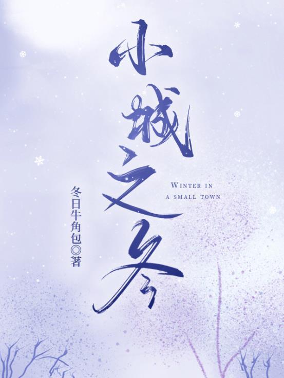 小城冬夜